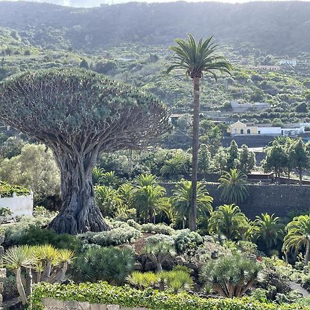 Rooftop View Escape - 1 Minute To Center And Fast Wi-Fi - Special Low Season Price For May And June Icod De Los Vinos Esterno foto